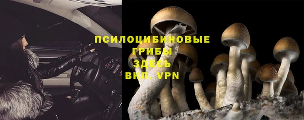 a pvp Алексеевка